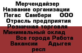 Мерчендайзер › Название организации ­ "Пегас" Самбери-3, ООО › Отрасль предприятия ­ Розничная торговля › Минимальный оклад ­ 23 500 - Все города Работа » Вакансии   . Адыгея респ.